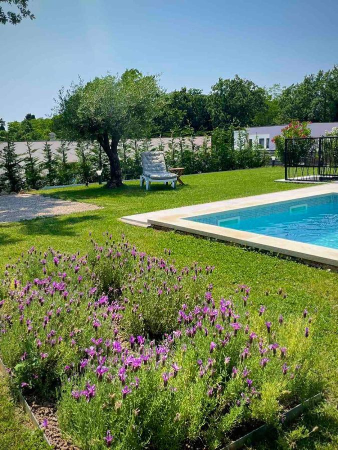 Villa Destiny Nedescina, Istrien, Kroatien Extérieur photo
